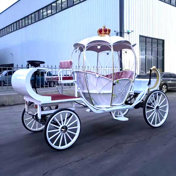 Buggy for Wedding