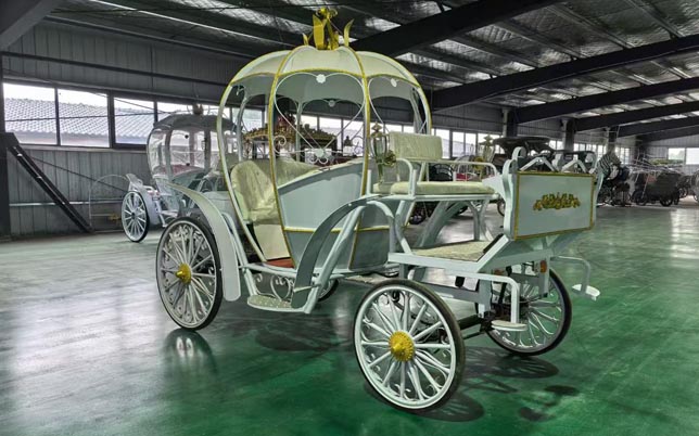 Customized carriages