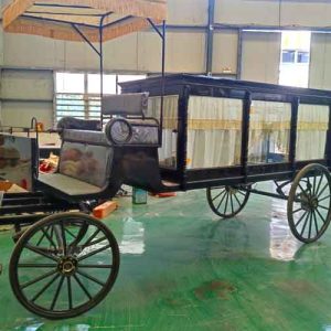 Funeral carriage for sale