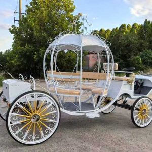 wedding carriages for sale