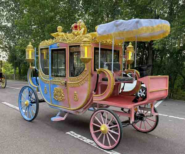 horse carriage rides sale