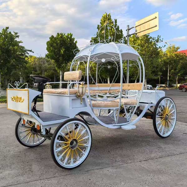 Buggy for Wedding