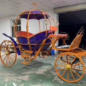 Cinderella Carriage for Sale