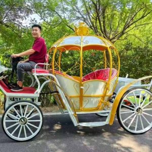 electric wedding carriages for sale