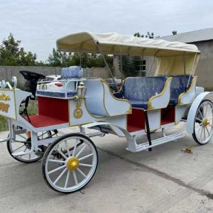 horse buggy for sale