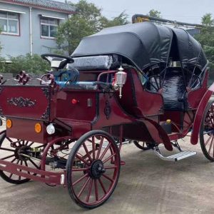 Victoria Buggy Ride