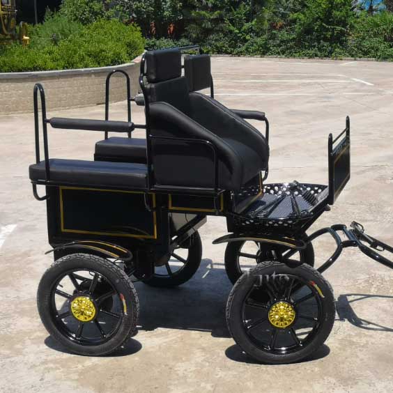 Miniature Horse Chariot