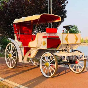 Tourist Carriage for Sale