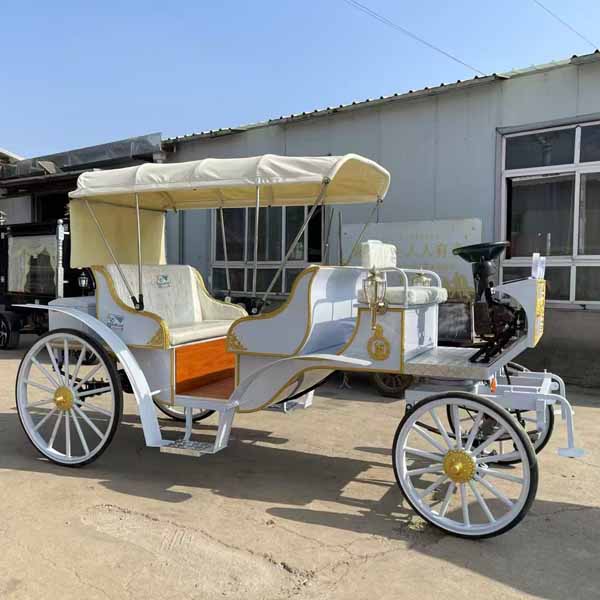 Cinderella Carriage for Wedding