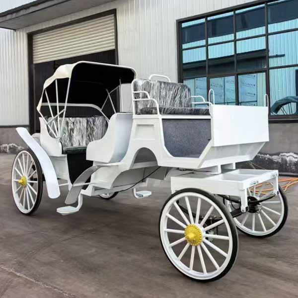 Cinderella Carriage for Wedding