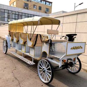 Tourist Carriage for Sale