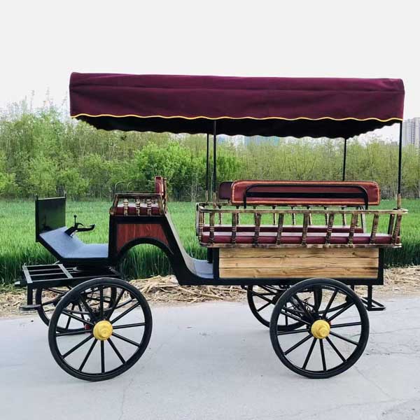 Horse Wagonette