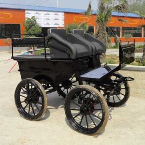 Marathon Carriage for Sale