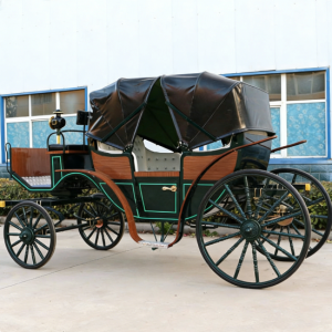 Victoria Buggy Ride