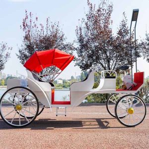 Victoria Buggy Ride for Sale