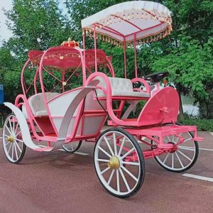 cinderella carriages for weddings