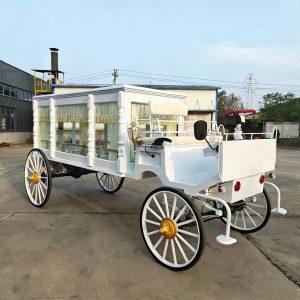 horse carriage for funeral