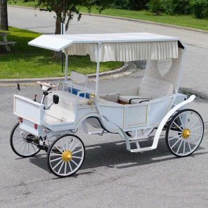 horse coach for sale