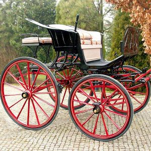 spider phaeton carriage for sale