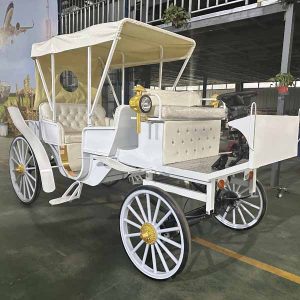 white horse drawn carriage