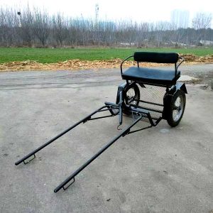Two Wheeled Horse Carriage