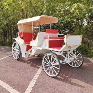 horse drawn carriage for wedding