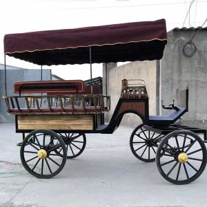 horse wagonette for sale