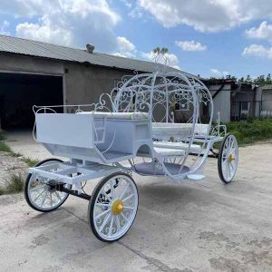 Cinderella Carriage for Wedding