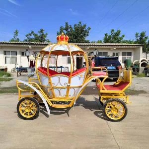 Princess Carriage Wagon for Sale