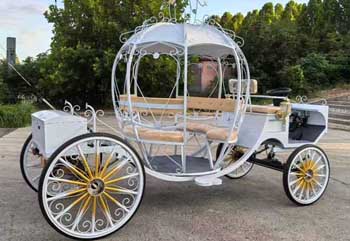 Cinderella's Pumpkin Horse Carriage for Sale