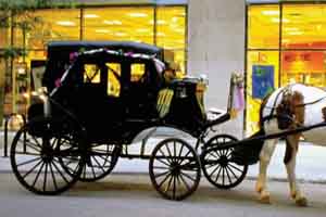 horse drawn carriages
