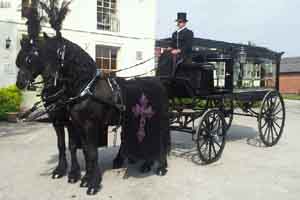 horse drawn hearse