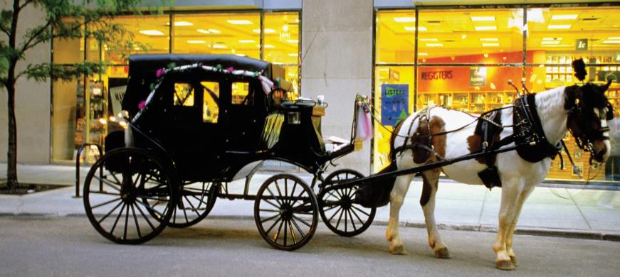 Do you think horse drawn carriages should be banned?