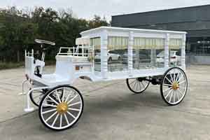 Horse Drawn Carriage for Sale