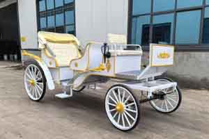 horse carriages for sale