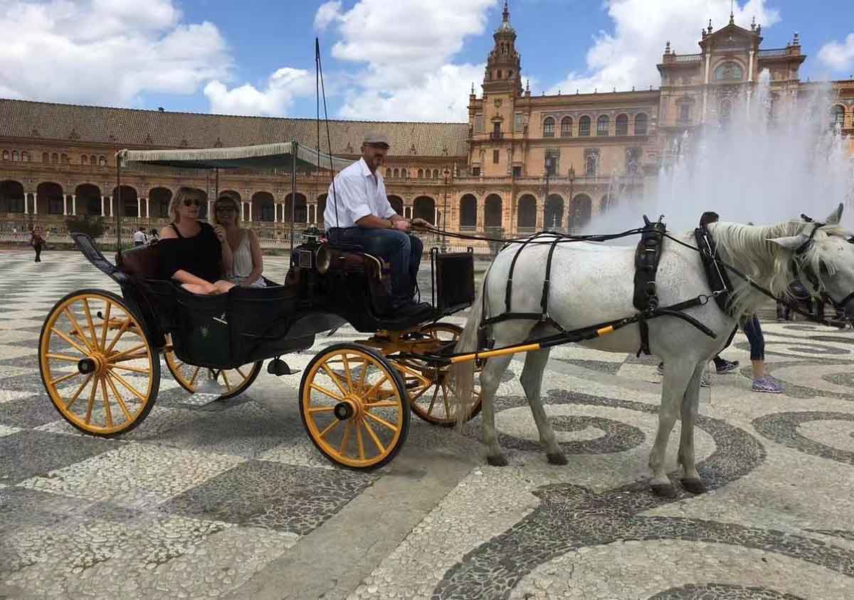 Horse Drawn Carriage
